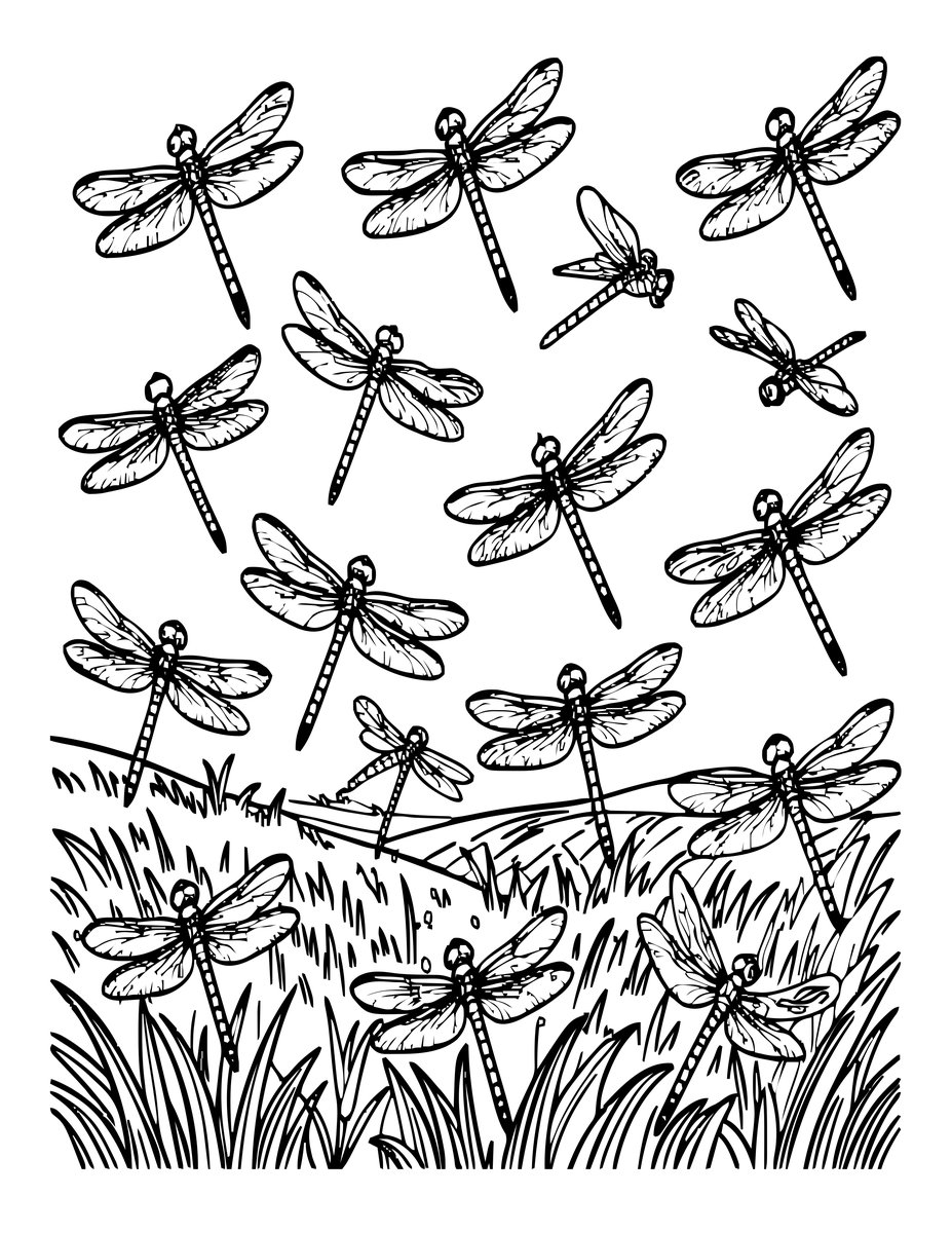 Swarm of Dragonflies - free printable coloring page