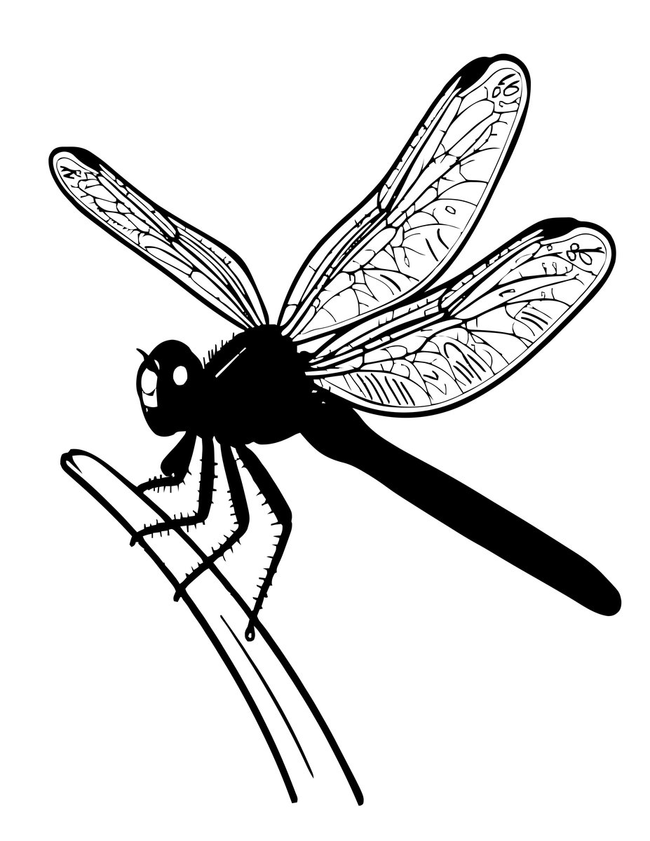 Blue Dragonfly - free printable coloring page