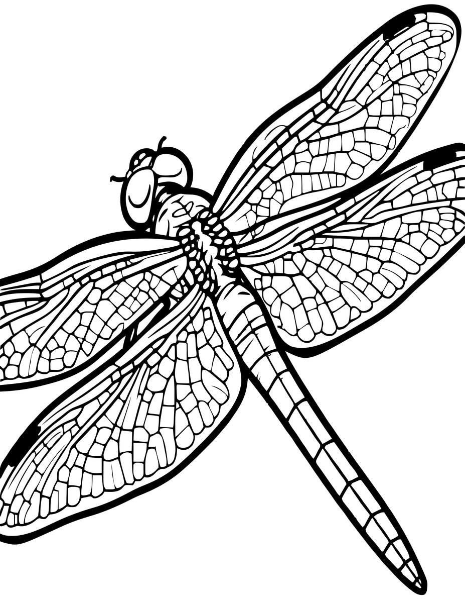 Dragonfly Wings Detail - free printable coloring page