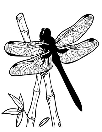 Red Dragonfly - Free printable coloring page