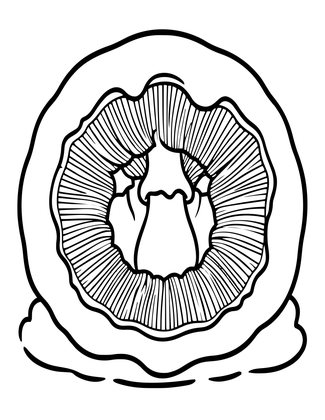 Fairy Circle in Snow - Free printable coloring page