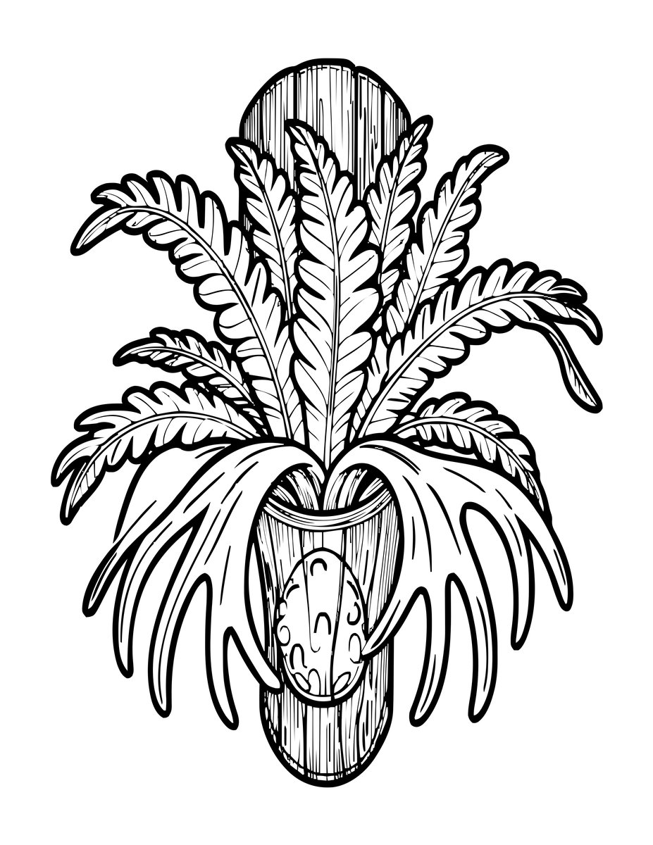 Staghorn Fern - free printable coloring page
