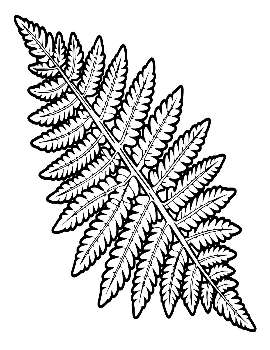 Fern Geometry - free printable coloring page