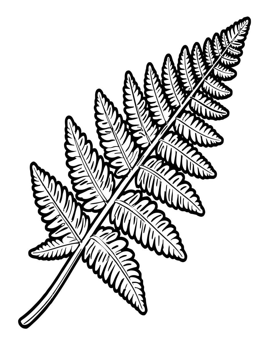 Fractal Frond - free printable coloring page