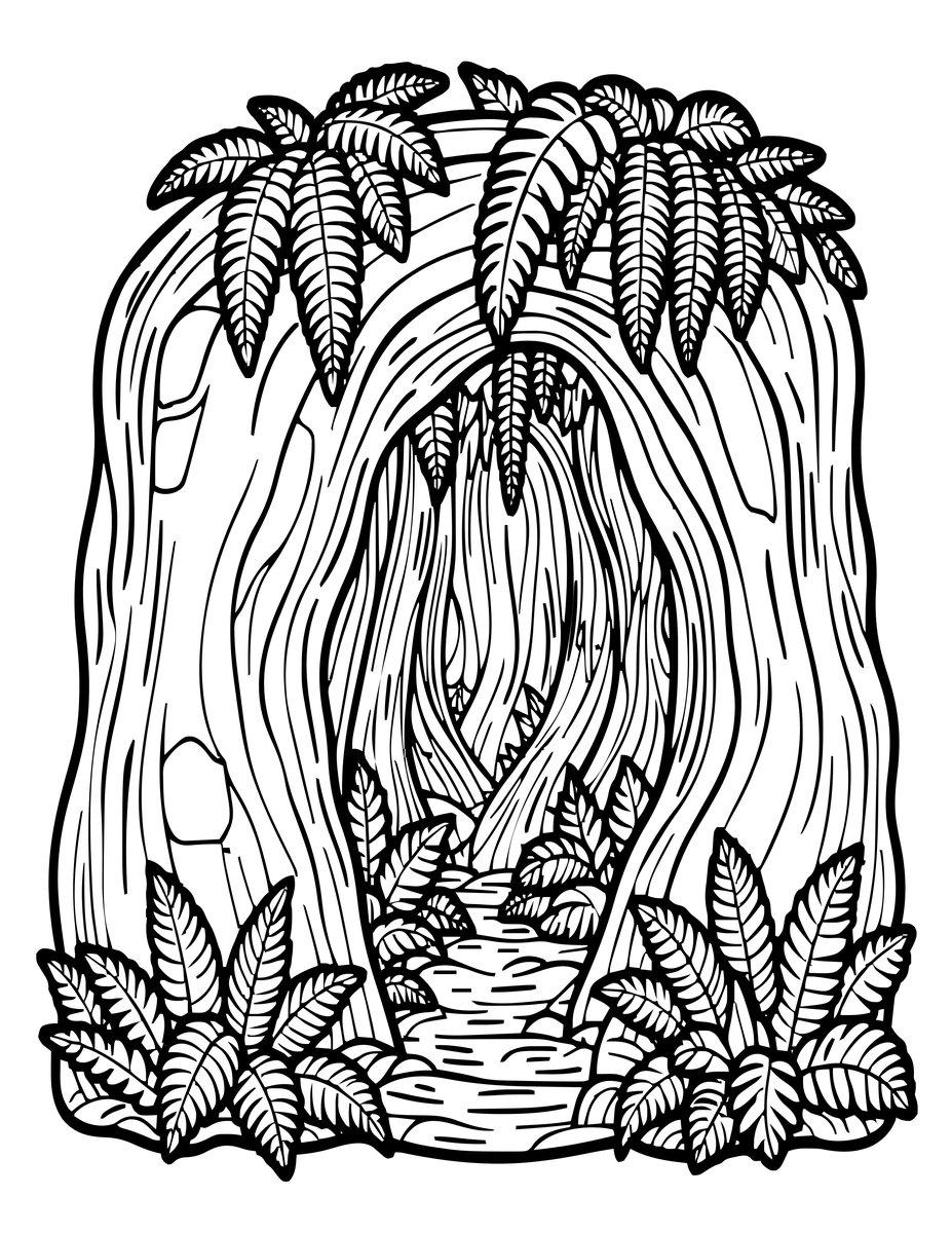 Fern Grotto - free printable coloring page