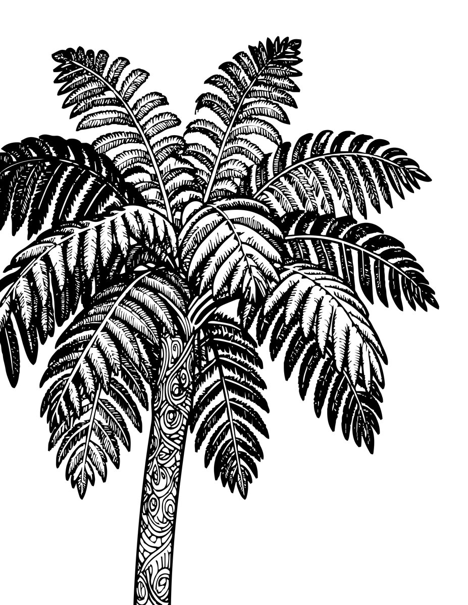 Tree Fern Canopy - free printable coloring page
