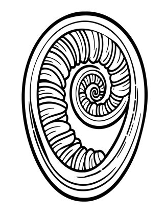 Unfurling Fiddlehead - Free printable coloring page