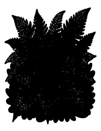 Autumn Fern - Free printable coloring page