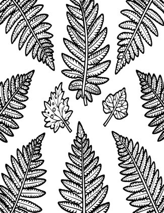 Fern Print Textile - Free printable coloring page