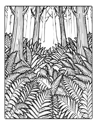Forest Fern Floor - Free printable coloring page