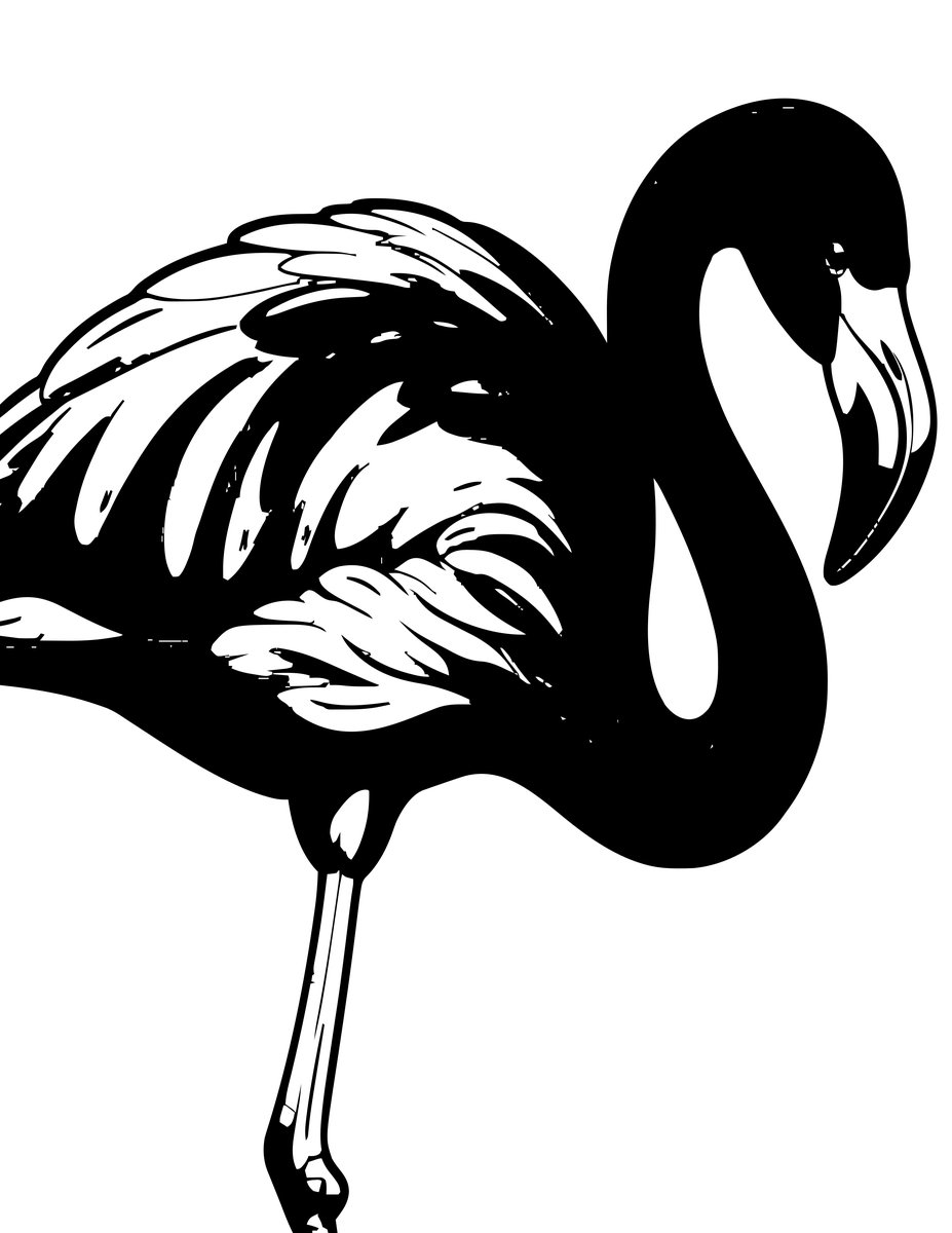 Flamingo Feathers Close - free printable coloring page