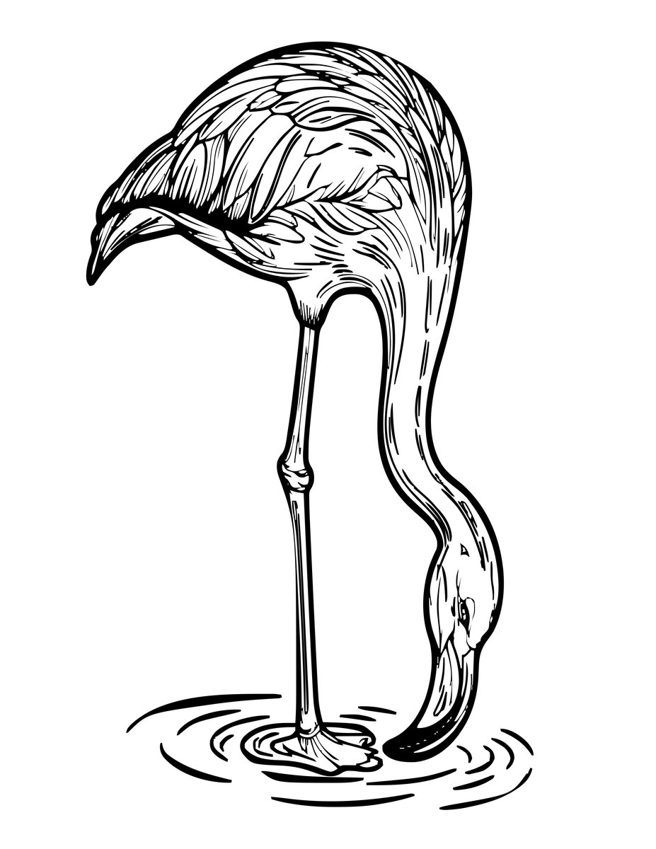 Flamingo Head Down - free printable coloring page