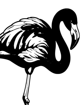 Flamingo Feathers Close - Free printable coloring page