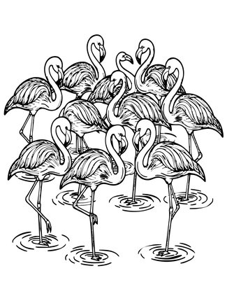 Flamingo Grooming Flock - Free printable coloring page