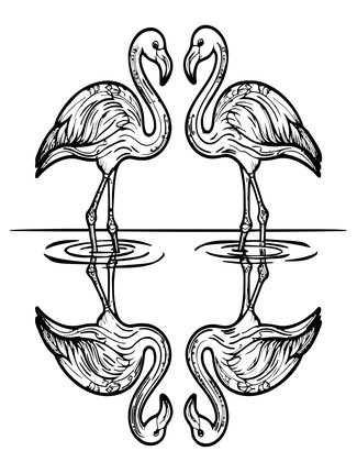 Flamingo Reflection - Free printable coloring page