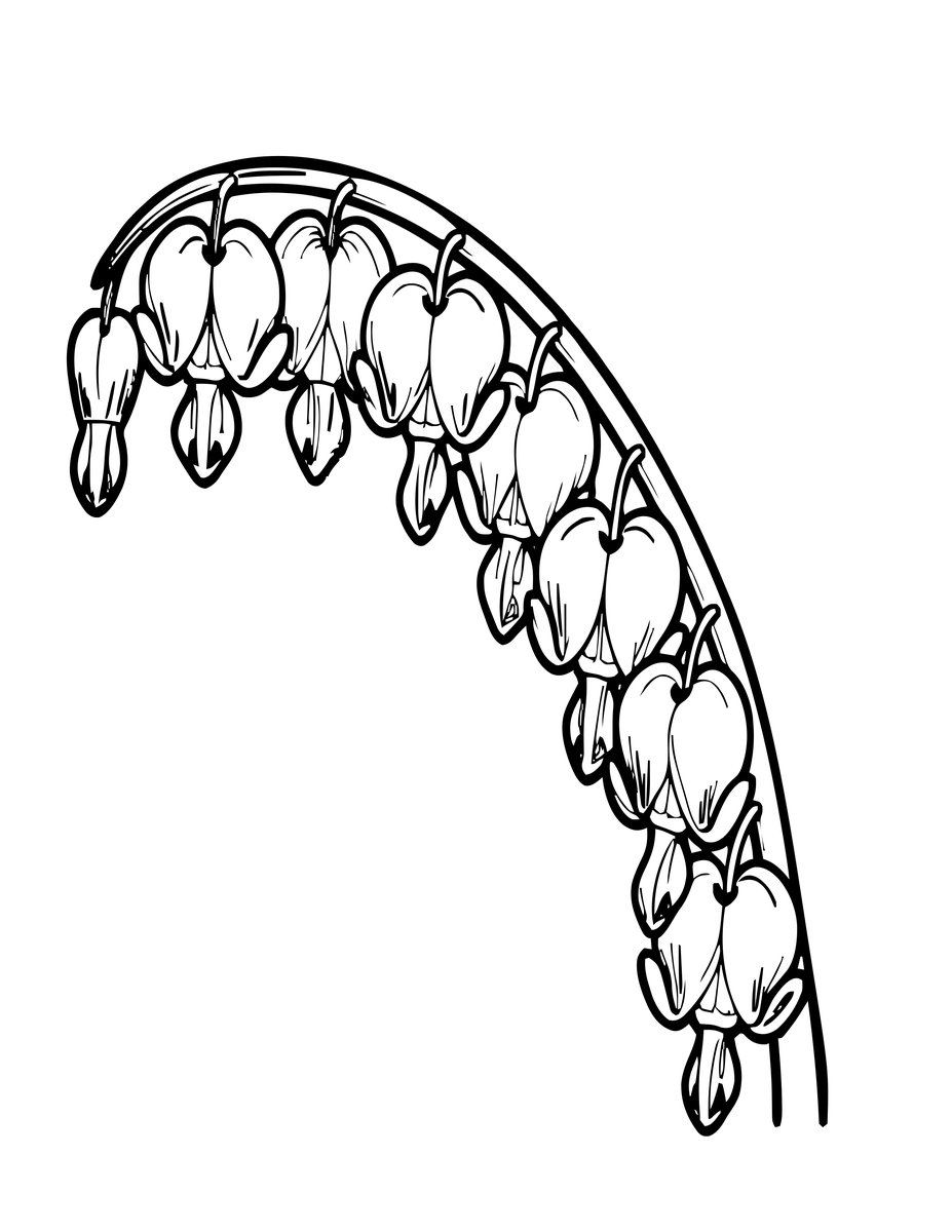 Bleeding Heart Arch - free printable coloring page