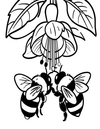 Fuchsia and Bees - Free printable coloring page