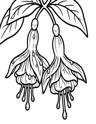 Fuchsia in Rain - Free printable coloring page