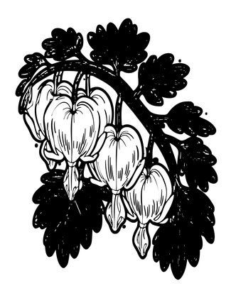 Bleeding Heart Foliage - Free printable coloring page