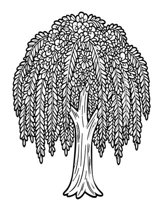 Standard Fuchsia - Free printable coloring page