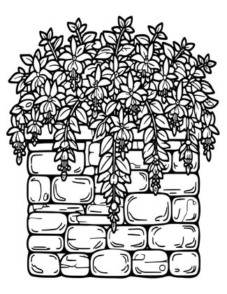 Fuchsia Wall - Free printable coloring page