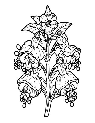 White Fuchsia - Free printable coloring page