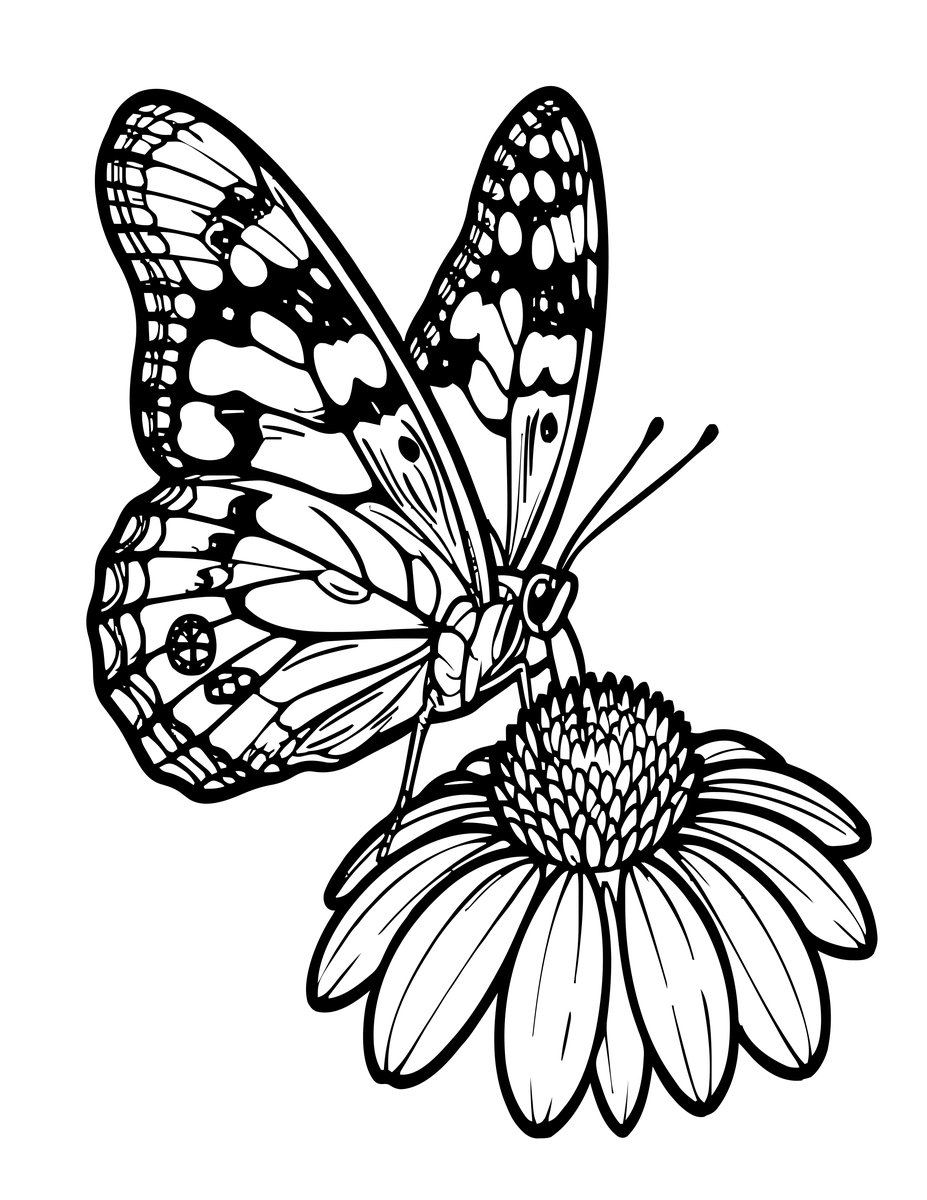 Butterfly on Coneflower - free printable coloring page