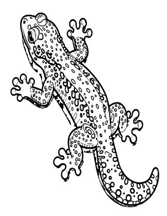 Gecko - Free printable coloring page