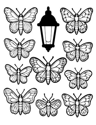 Moth at Porch Light - Free printable coloring page
