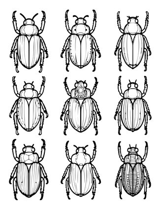 Beetle Collection - Free printable coloring page