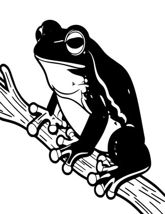 Tree Frog - Free printable coloring page