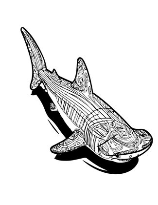 Great Hammerhead - Free printable coloring page