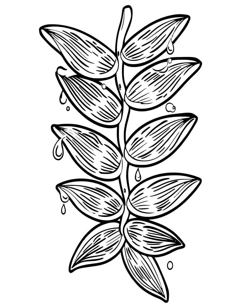 Water Drop - free printable coloring page
