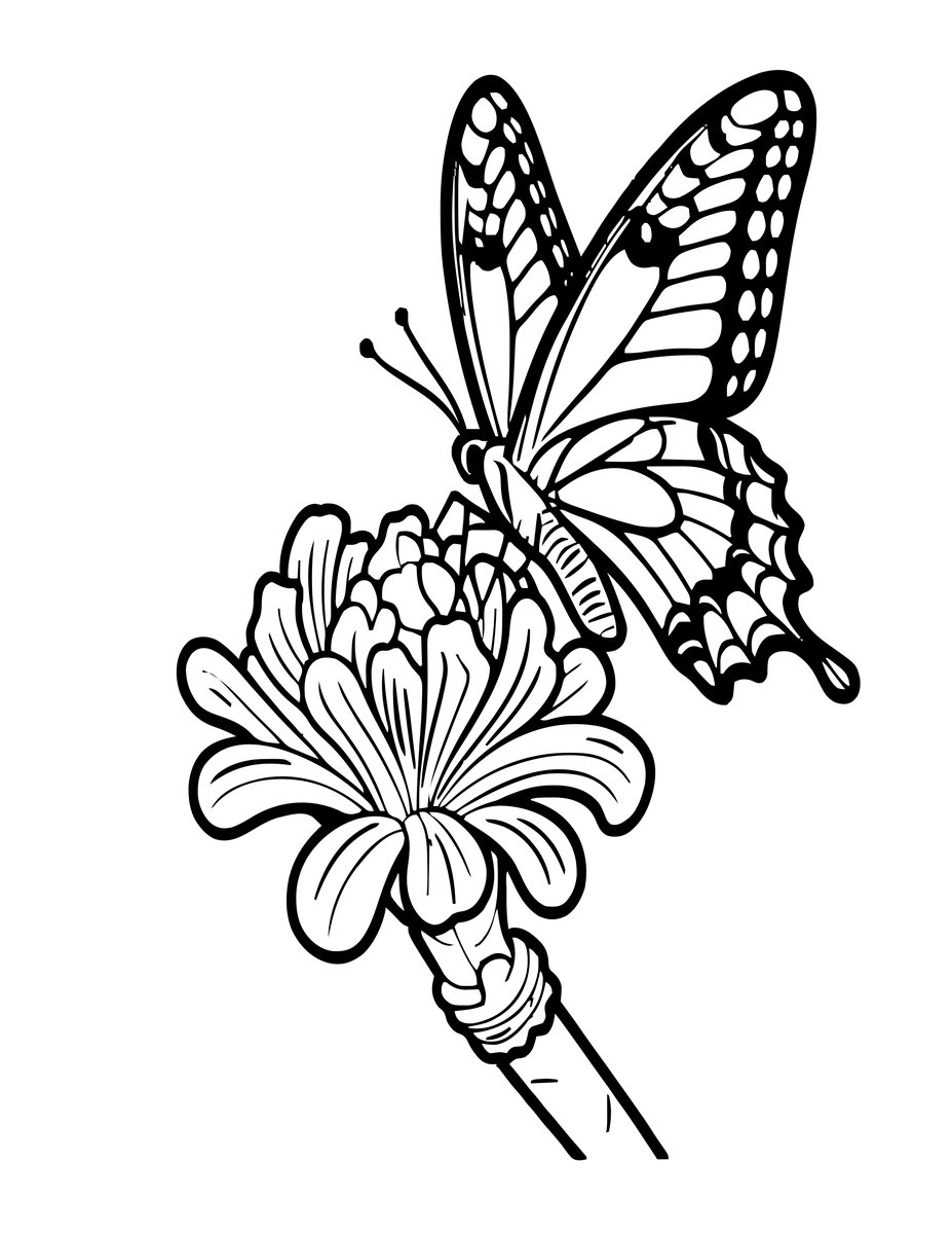 Butterfly Visit - free printable coloring page
