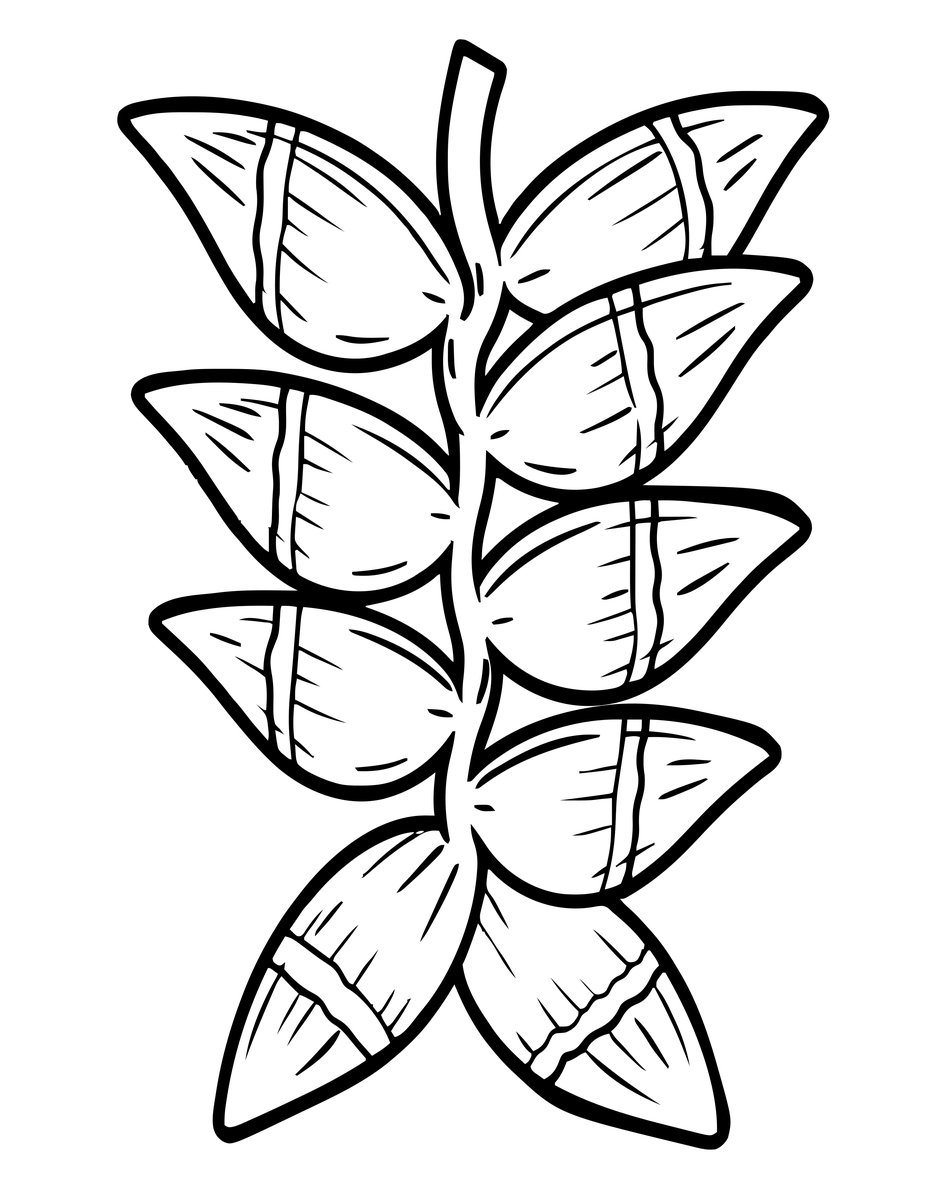 Bract Detail - free printable coloring page