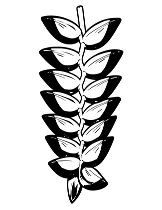 Yellow Heliconia - Free printable coloring page