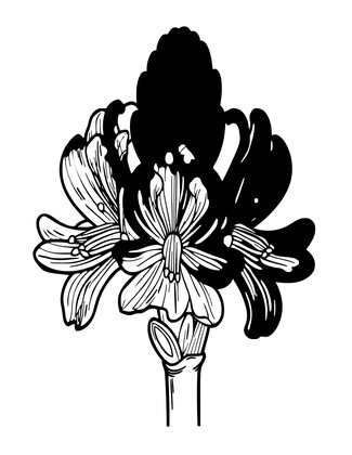 Red Ginger - Free printable coloring page