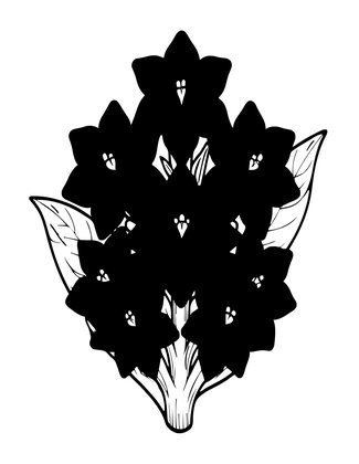 Blue Ginger - Free printable coloring page