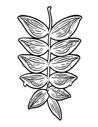 Morning Dew - Free printable coloring page