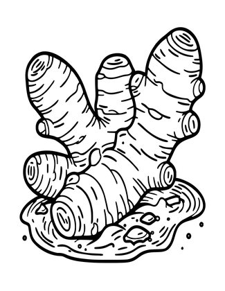 Ginger Rhizome - Free printable coloring page