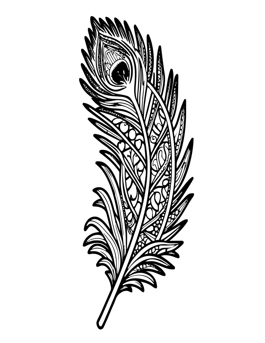 Peacock Feather - free printable coloring page