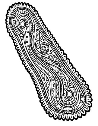 Paisley Border - Free printable coloring page