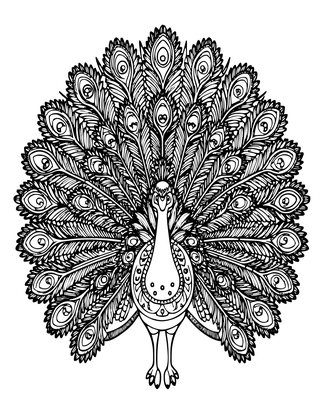 Peacock Henna - Free printable coloring page