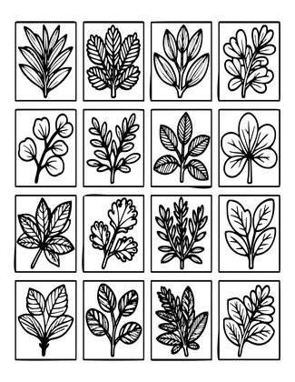 Herb Botanical Grid - Free printable coloring page