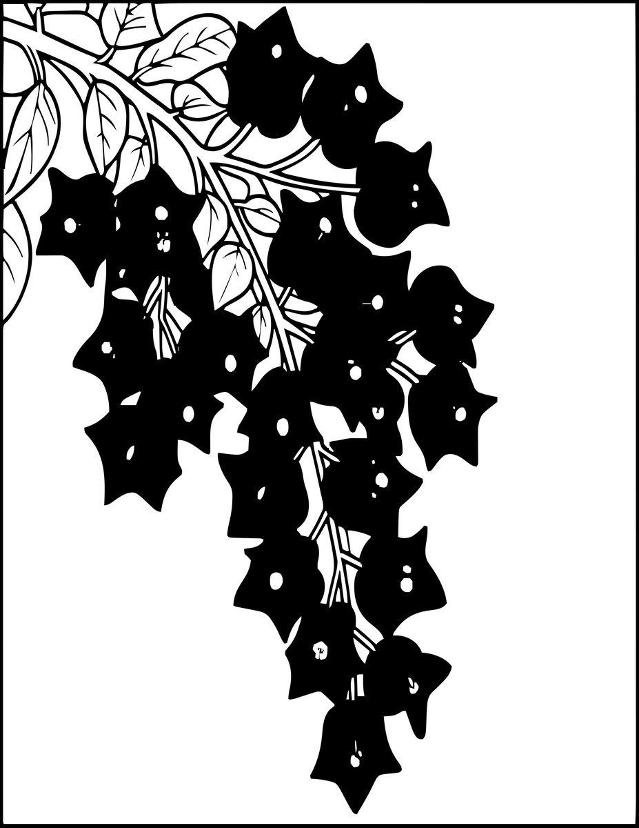 Bougainvillea - free printable coloring page