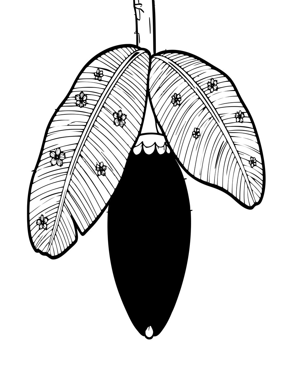 Banana Flower - free printable coloring page