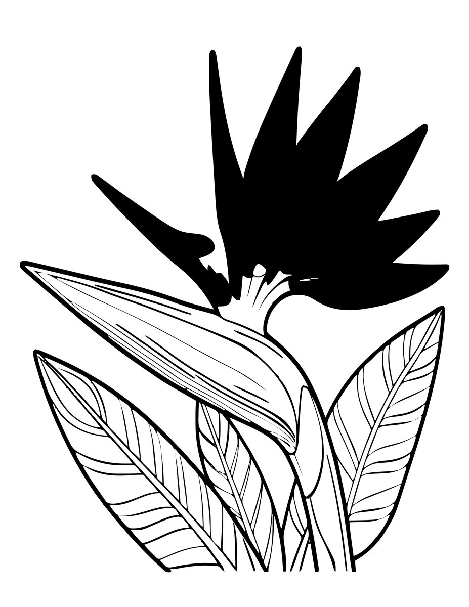 Bird of Paradise - free printable coloring page