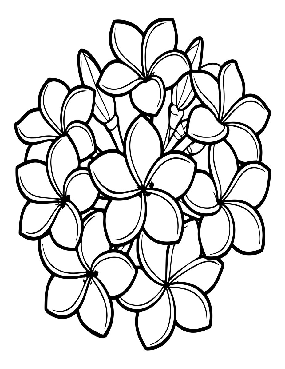 Plumeria Cluster - free printable coloring page