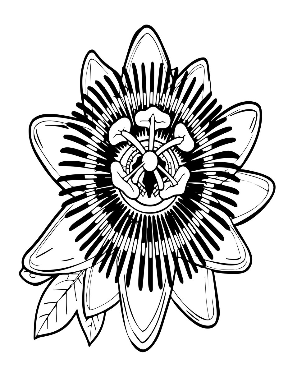 Passion Flower - free printable coloring page