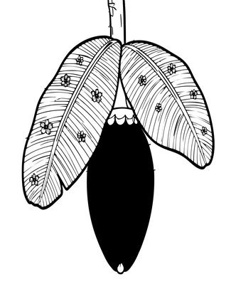 Banana Flower - Free printable coloring page